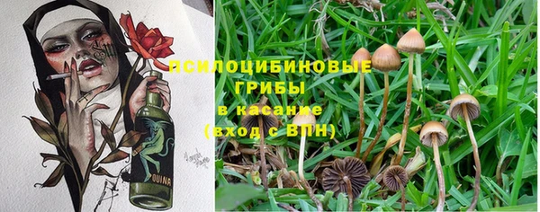 таблы Богданович