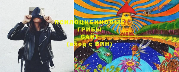 таблы Богданович