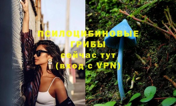 таблы Богданович