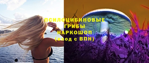 таблы Богданович