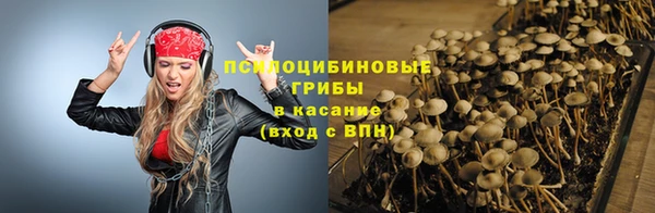 таблы Богданович